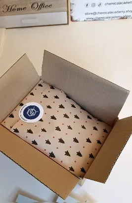 german beginner book christmas mysery bundle box (4)